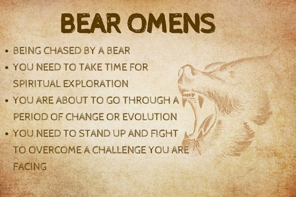 Bear Omens