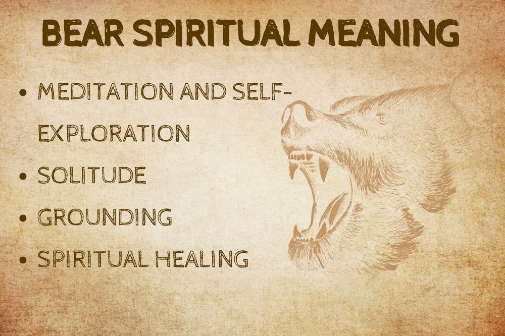 Bear Spiritual Meaning