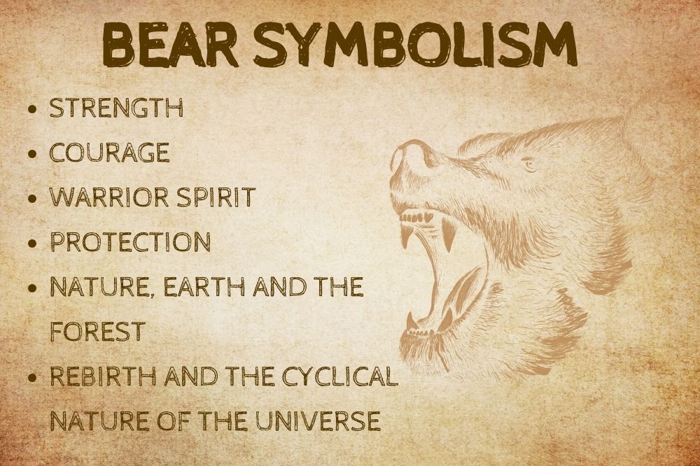 Bear Symbolism