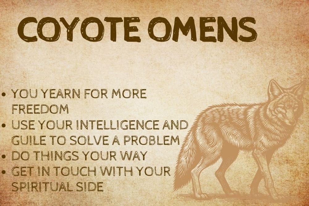 Coyote Omens