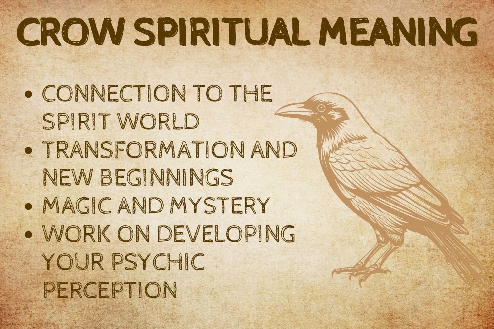 Crow Spiritual Meaning