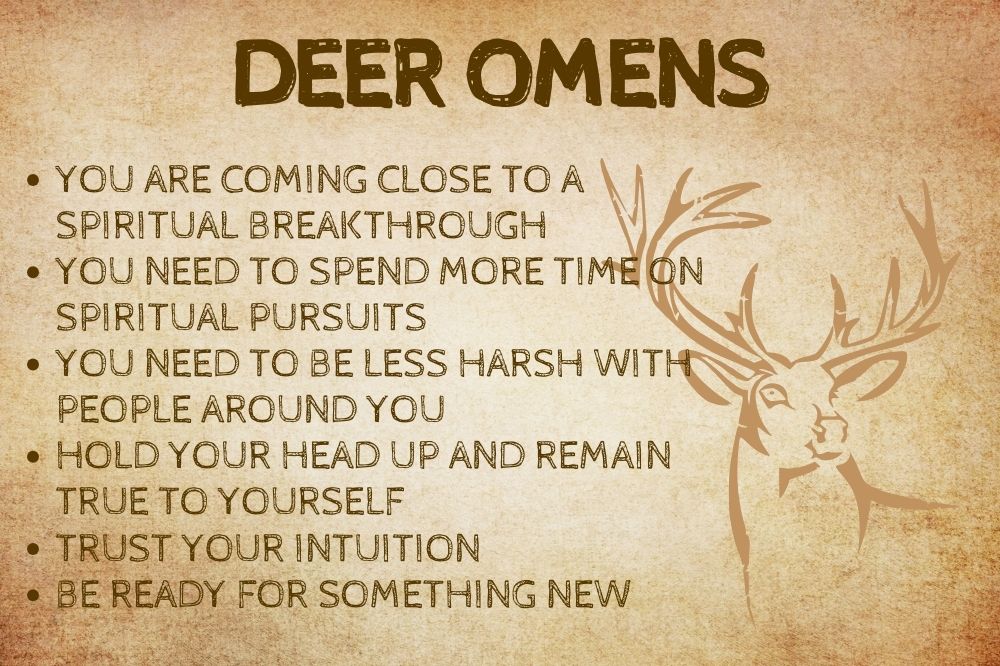 Deer Omens