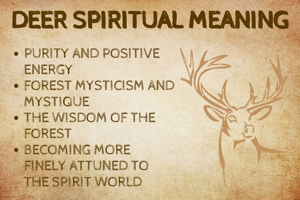 Deer Spiritual Meaning