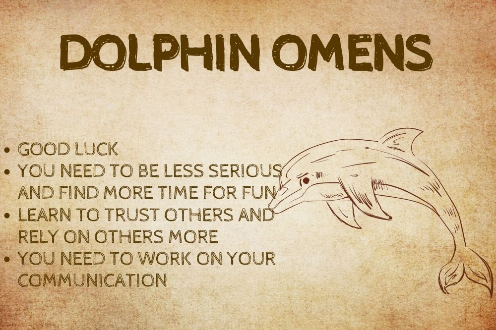 Dolphin Omens
