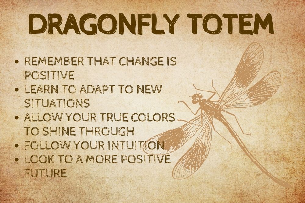 Dragonfly Totem