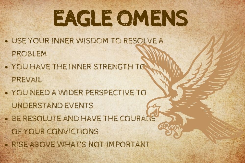 Eagle Omens