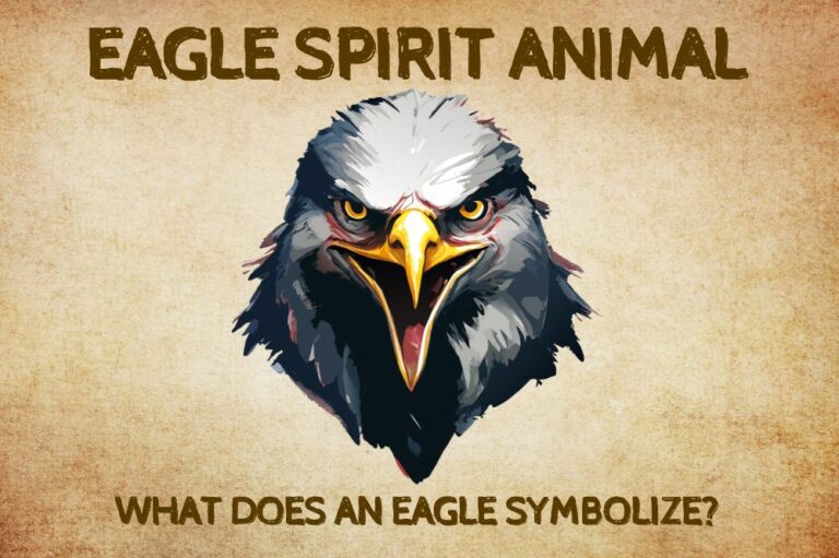 Eagle Spirit Animal: What Does an Eagle Symbolize?