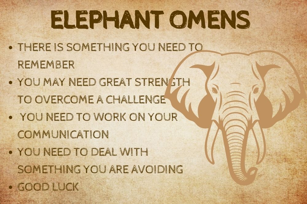 Elephant Omens