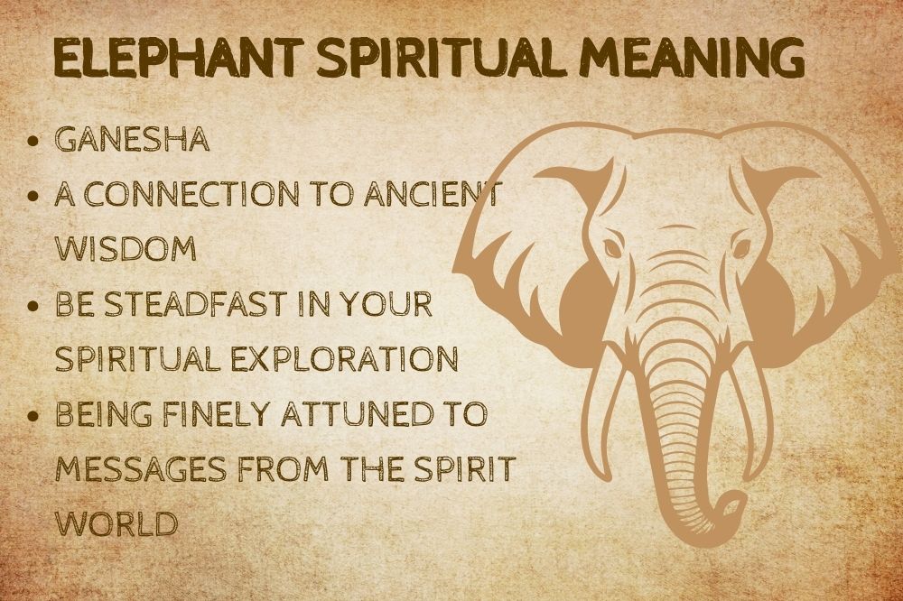 Elephant Spiritual Meaning
