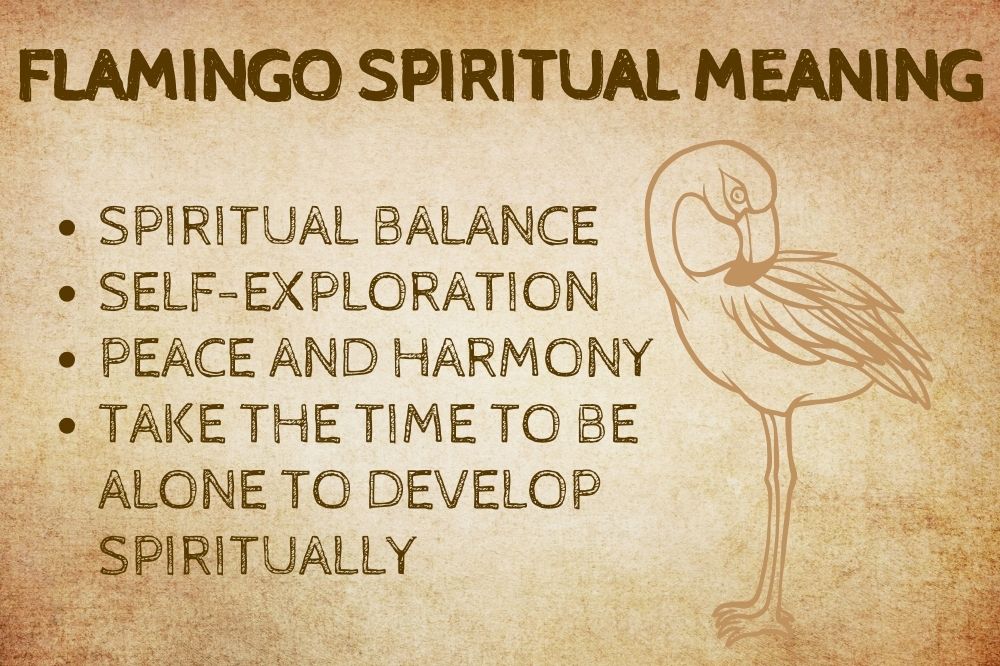 Flamingo Spiritual Meaning