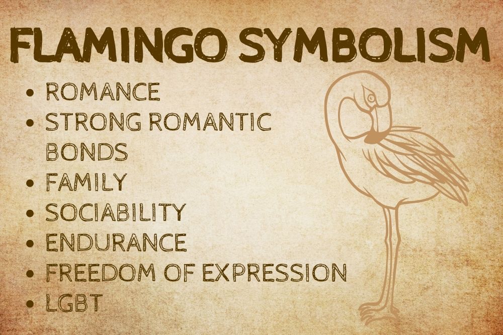 Flamingo Symbolism