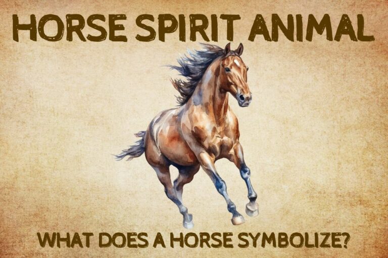 Horse Spirit Animal