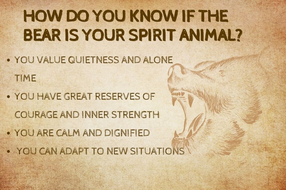 How Do You Know if the Bear is Your Spirit Animal?