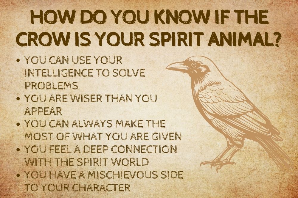 How Do You Know if the Crow is Your Spirit Animal?