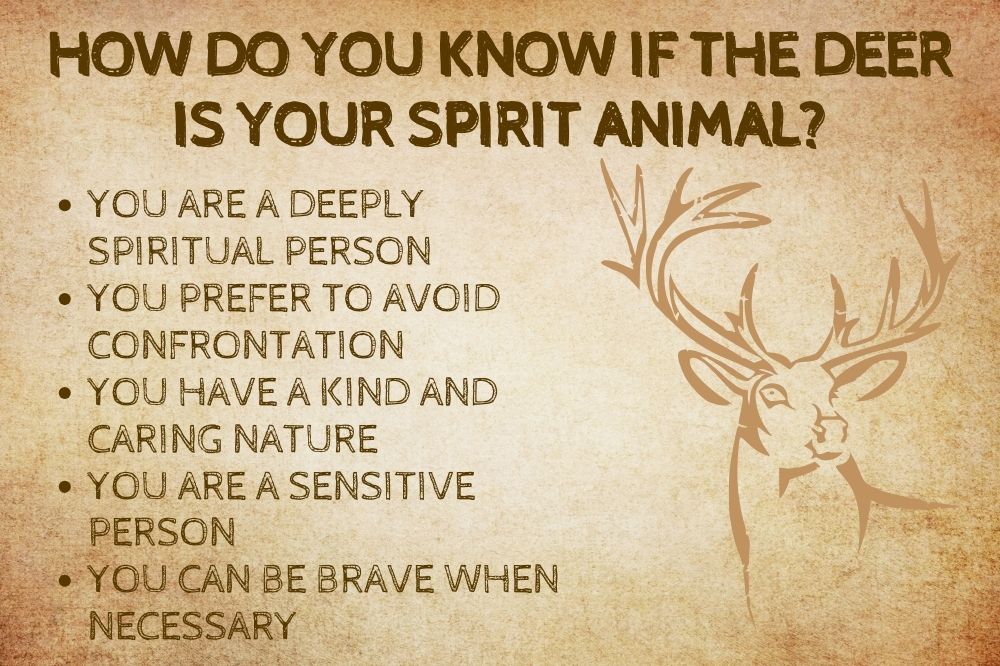 How Do You Know if the Deer is Your Spirit Animal?