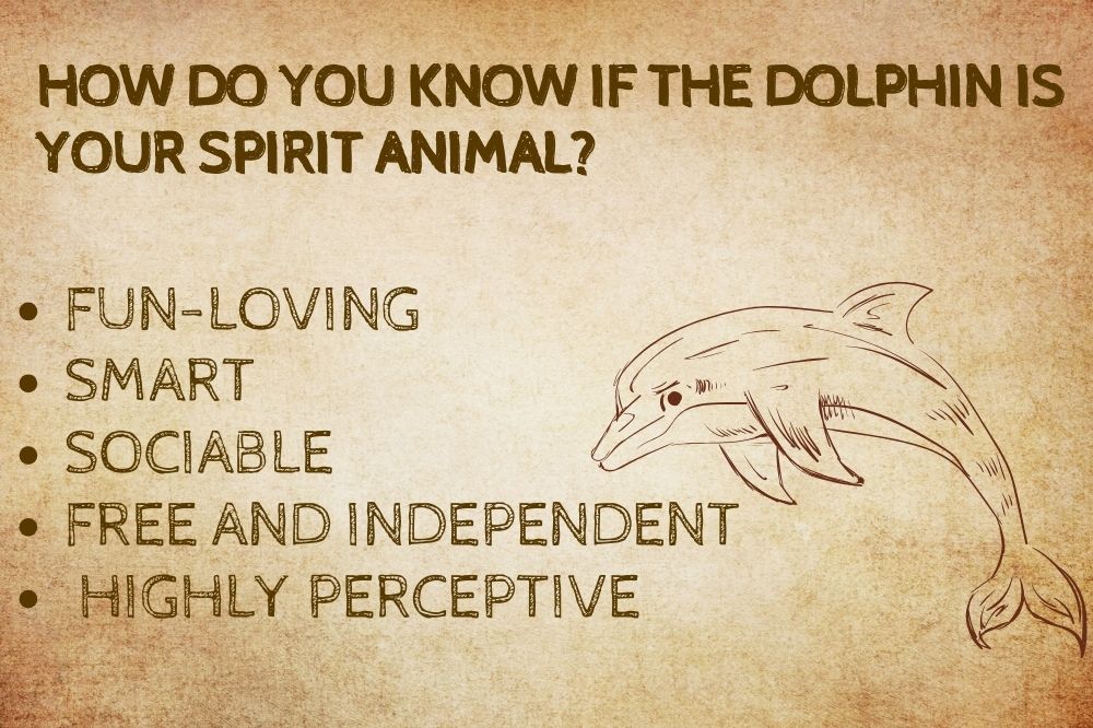 How Do You Know if the Dolphin Is Your Spirit Animal