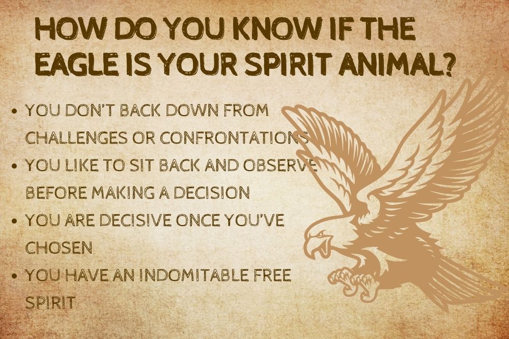 How Do You Know if the Eagle is Your Spirit Animal?