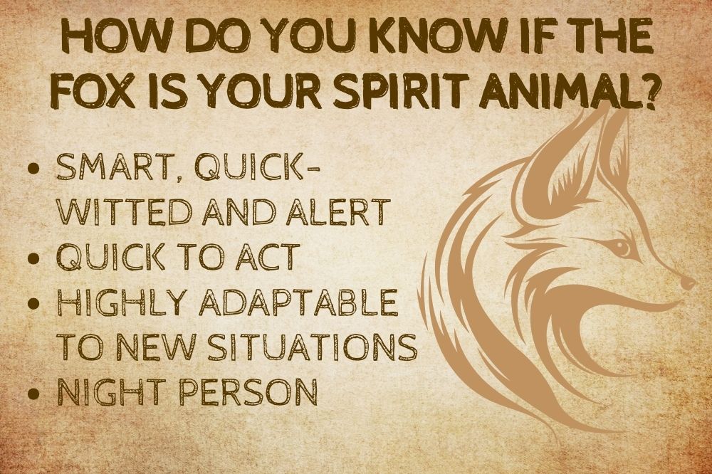 How Do You Know if the Fox is Your Spirit Animal?