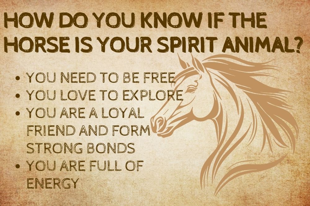 How Do You Know if the Horse Is Your Spirit Animal