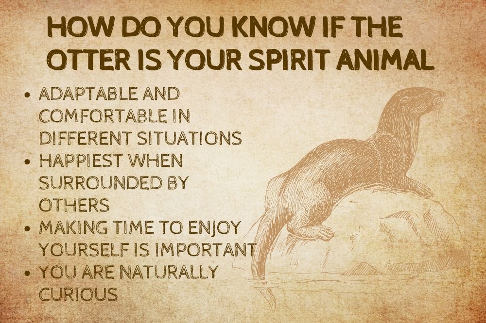 How Do You Know if the Otter is Your Spirit Animal?