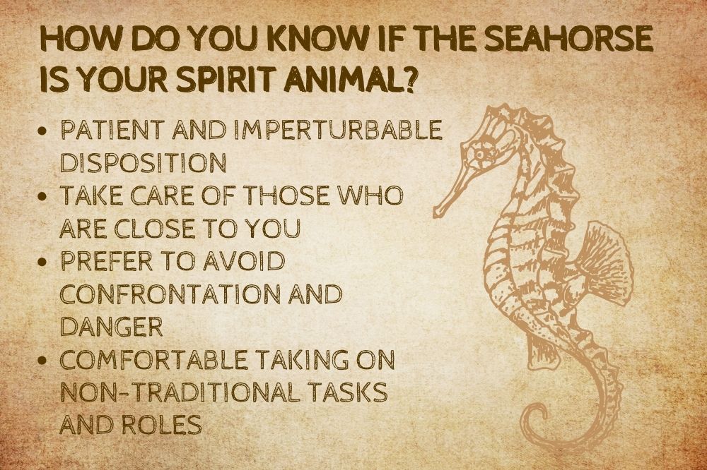 How Do You Know if the Seahorse Is Your Spirit Animal?