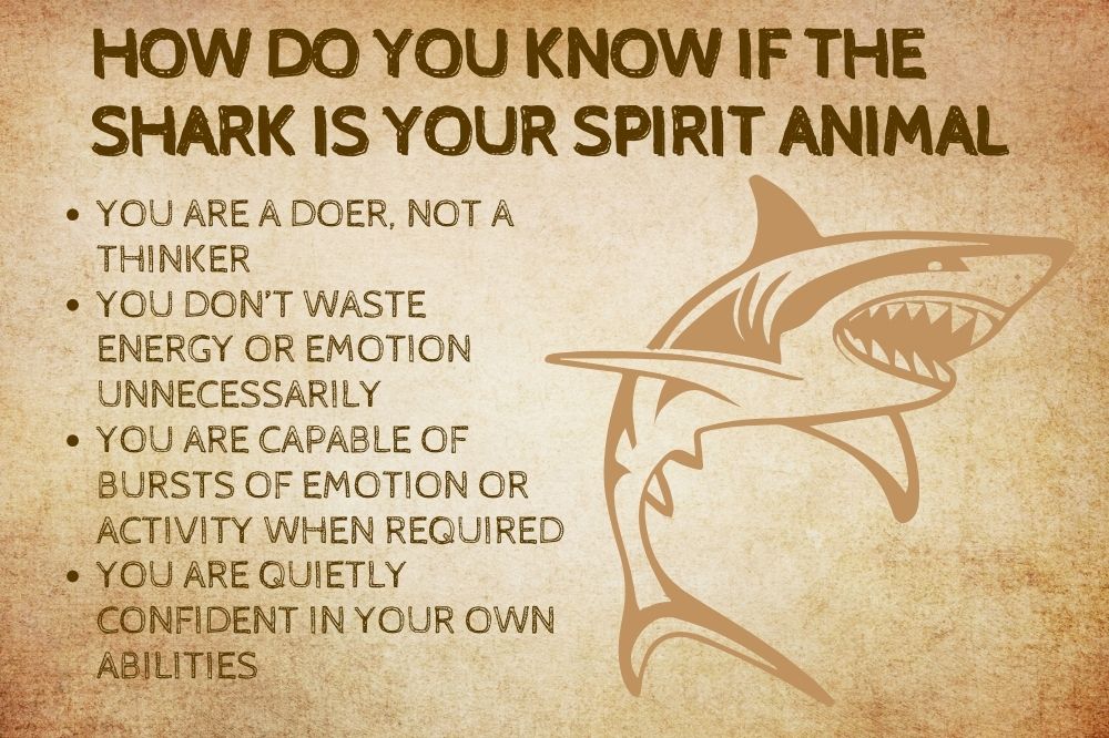 How Do You Know if the Shark Is Your Spirit Animal?
