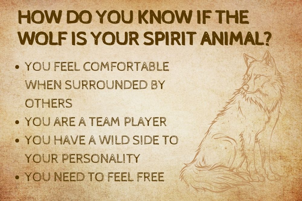 How Do You Know if the Wolf Is Your Spirit Animal?