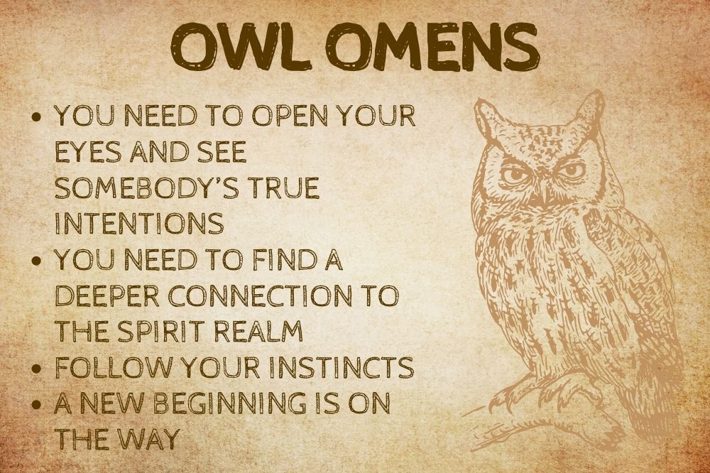 Owl Omens