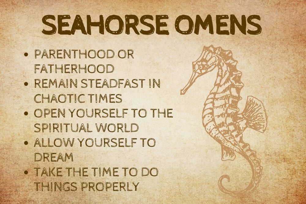 Seahorse Omens