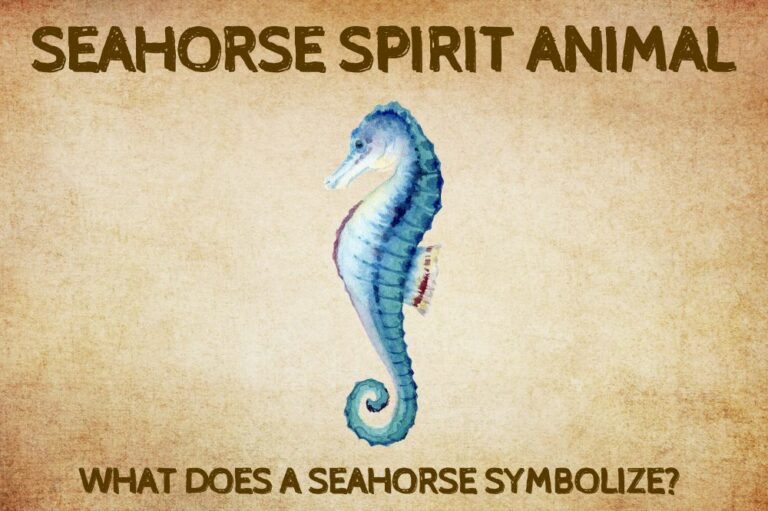 Seahorse Spirit Animal: What Does a Seahorse Symbolize?