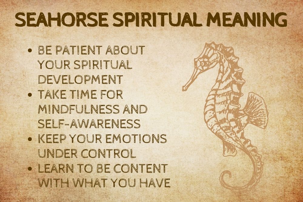 Seahorse Spiritual Meaning