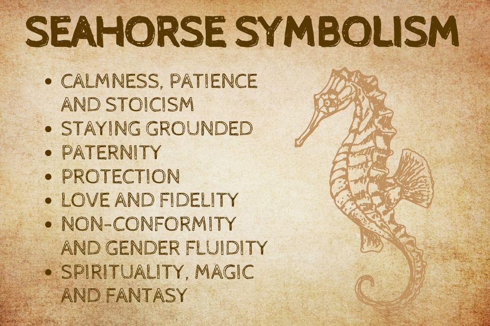 Seahorse Symbolism