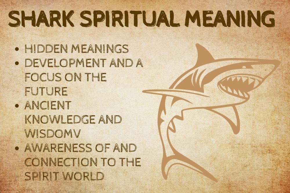 Shark Spiritual Meaning