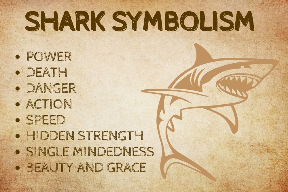 Shark Symbolism