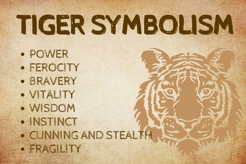 Tiger Symbolism