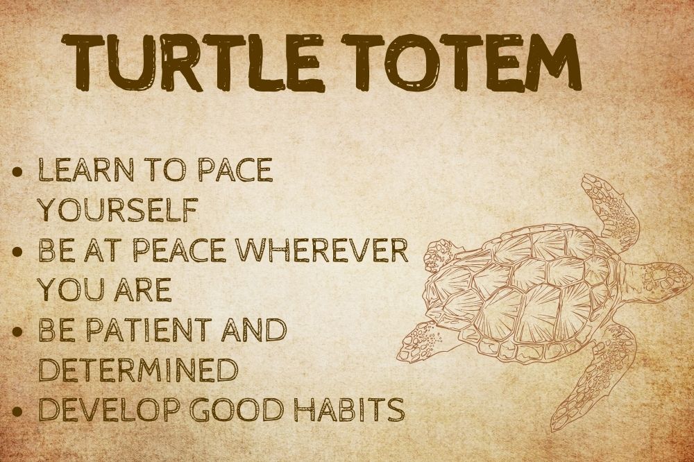 Turtle Totem
