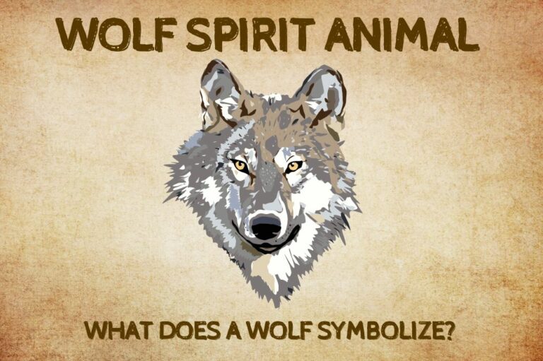 Wolf Spirit Animal: What Does a Wolf Symbolize?