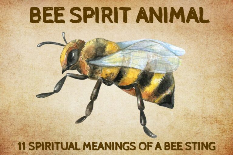 11 Spiritual Meanings of a Bee Sting