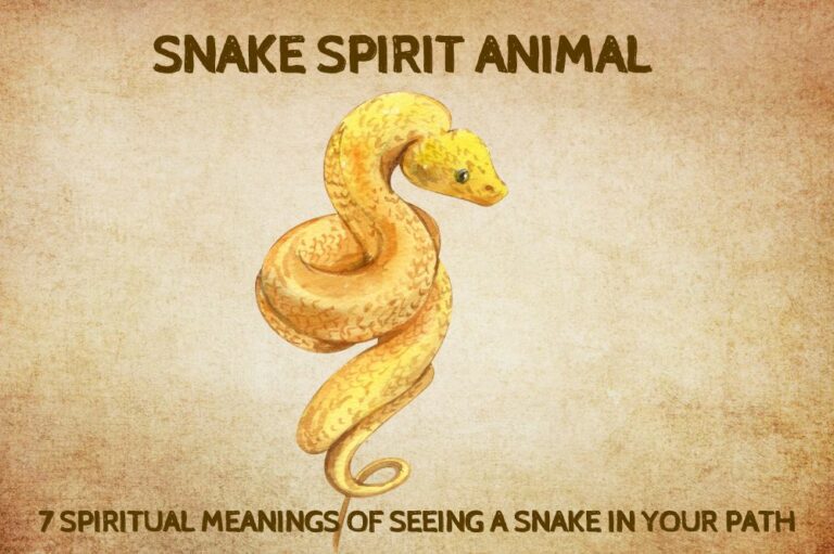 7 Spiritual Meanings of Seeing a Snake in Your Path