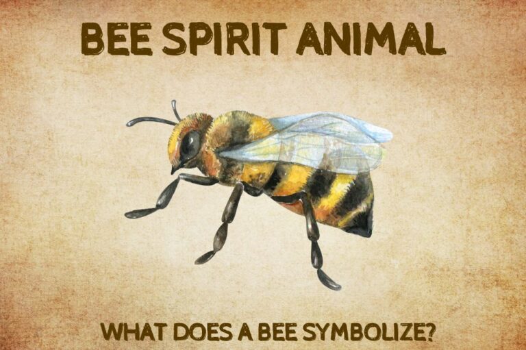 Bee Spirit Animal: What Does a Bee Symbolize?