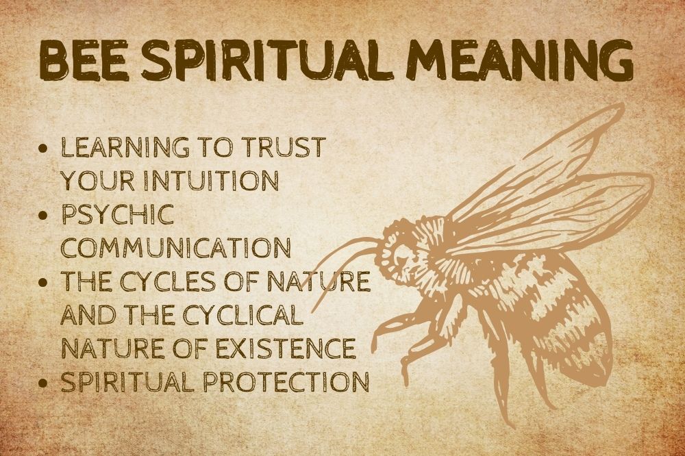 Bee Spiritual Meaning