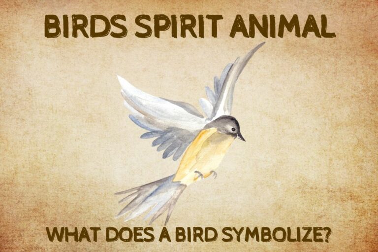 Bird Spirit Animal: What Does a Bird Symbolize?