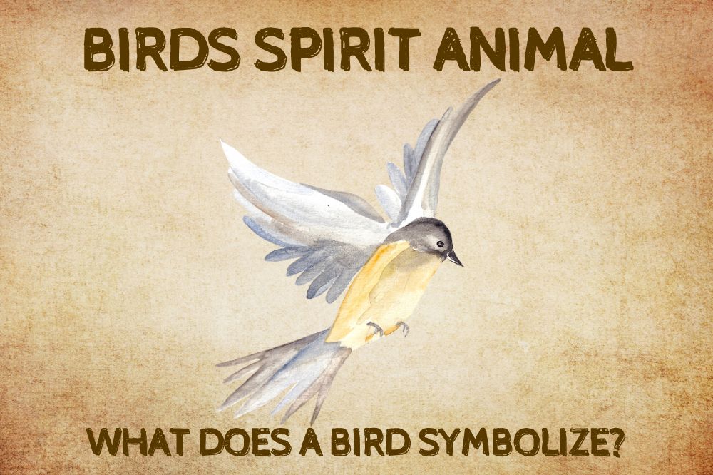 Birds Spirit Animal