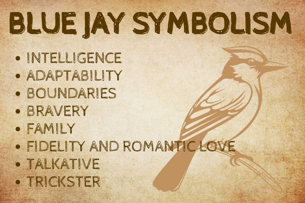Blue Jay Symbolism