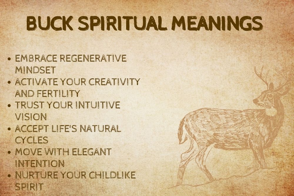 Buck Spiritual Meanings