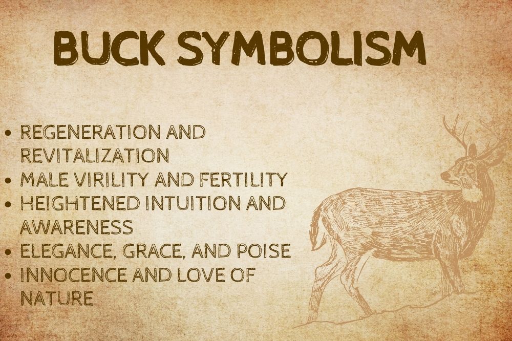 Buck Symbolism