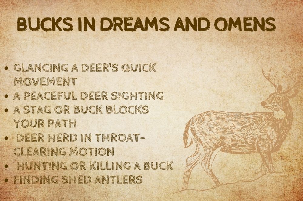Bucks in Dreams and Omens