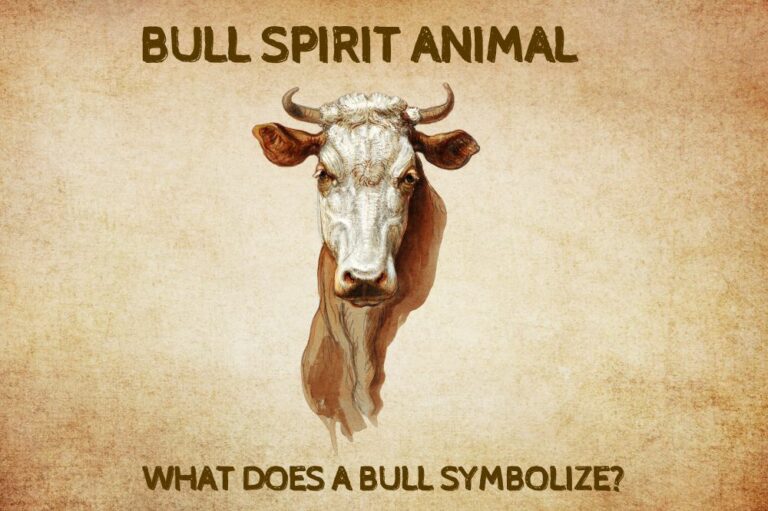 Bull Spirit Animal: What Does a Bull Symbolize?