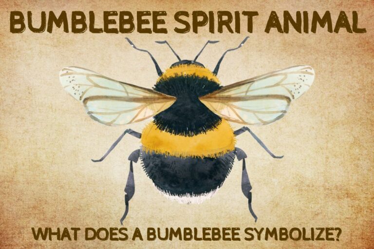 Bumblebee Spirit Animal: What Does a Bumblebee Symbolize?
