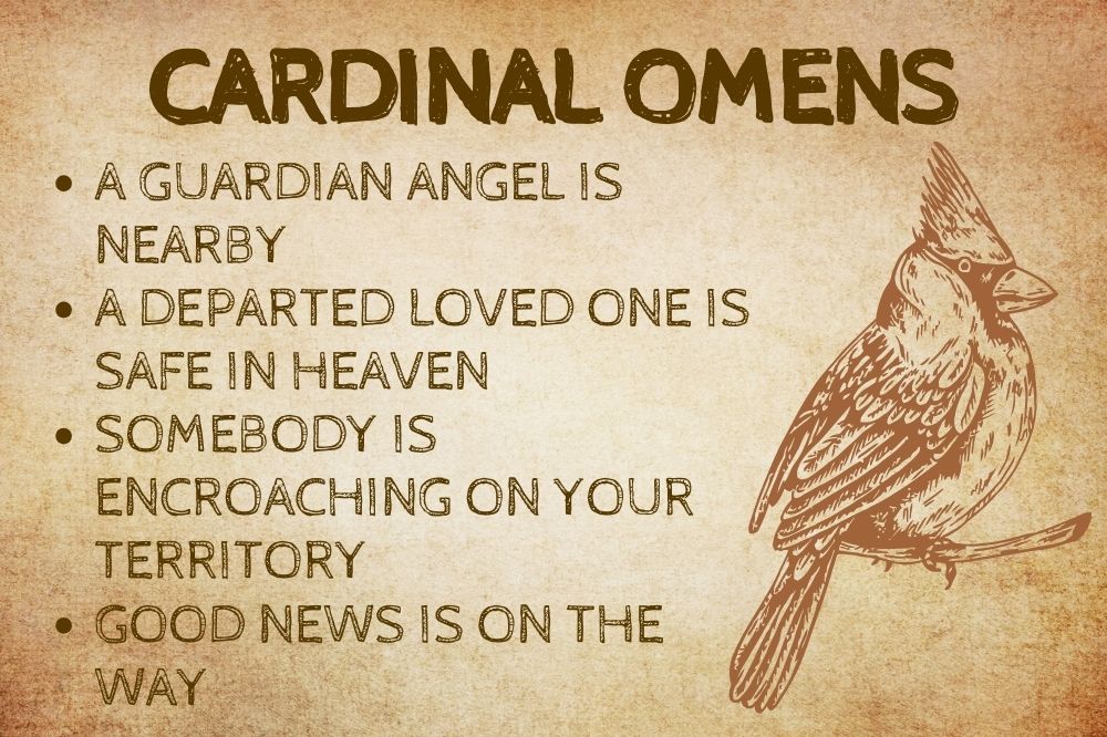 Cardinal Omens